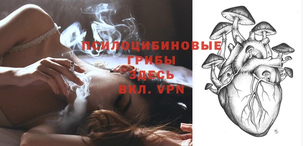 таблы Алексин